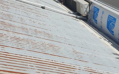 Salt & Water Corrosion: Kiwi Climate vs. Metal Roofing