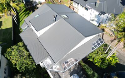 Project Showcase: Residential Home – Mt Albert