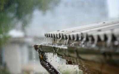 Winter Roof Care: Keep Your Auckland Home Safe and Dry